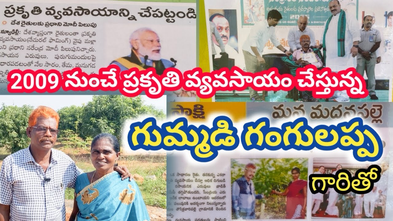ఖర్చులేని  ప్రకృతి వ్యవసాయం  గురించి గుమ్మడి గంగులప్ప  గారి మాటల్లో. |. Natural farming
