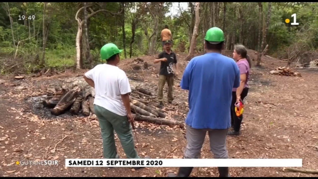 Awala-Yalimapo : pr&eacute;sentation d'un abattis p&eacute;dagogique
