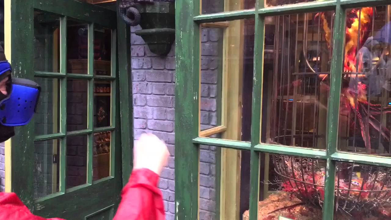 Harry Potter Experience with Gpup Alpha & Dire Superpup