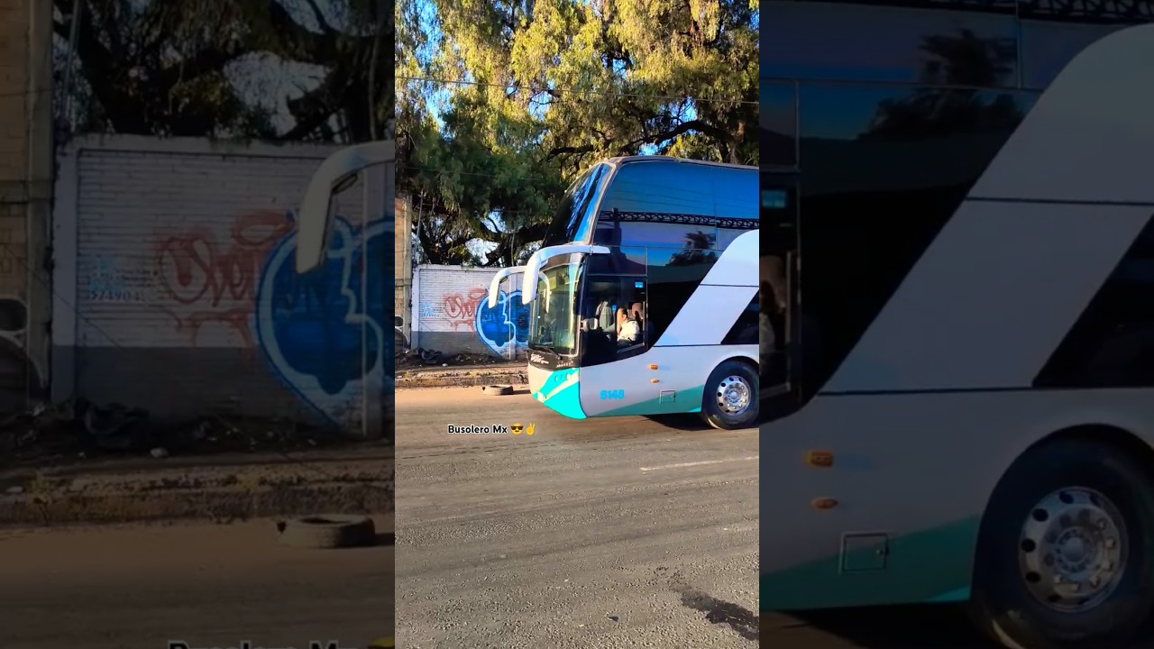 Turistar Lujo ⭐⭐⭐ Man Ayats Eclipse. #autobus #viaje #man #etn #turistar #shorts #travel