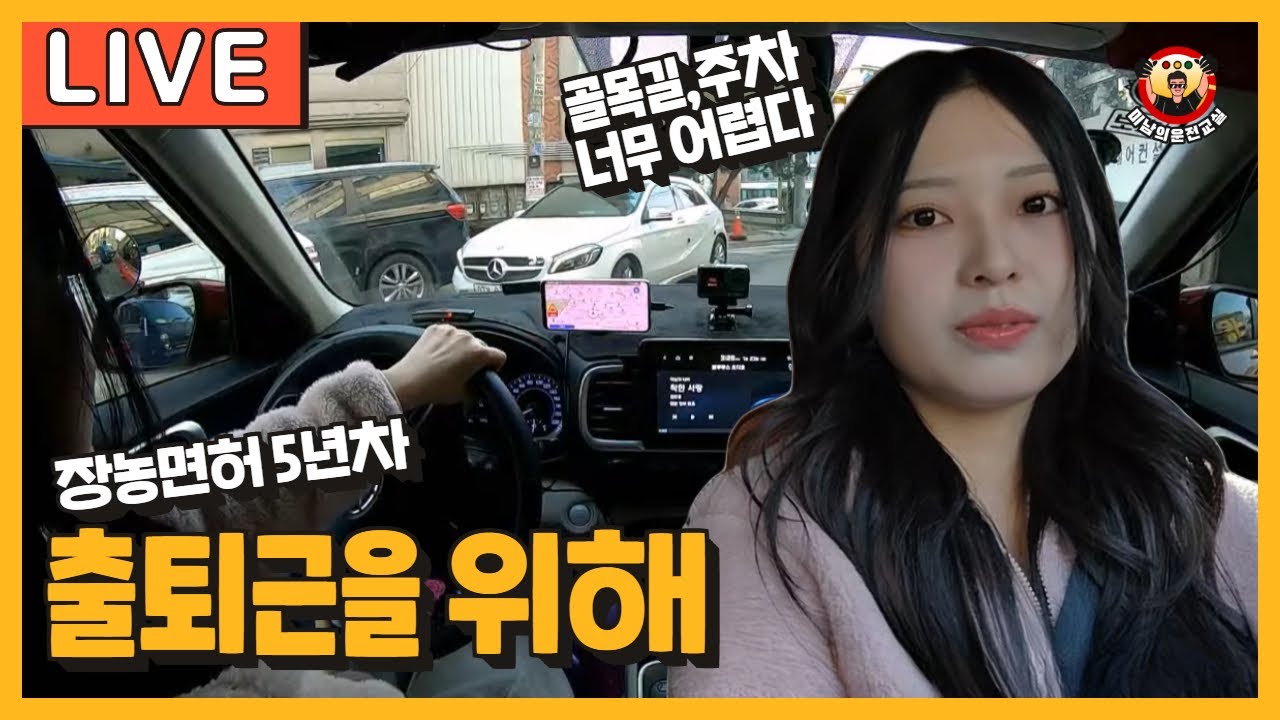[라이브 고고씽] ♥ 첫 사회생활을 위해 운전을 배워야하는 초보운전자