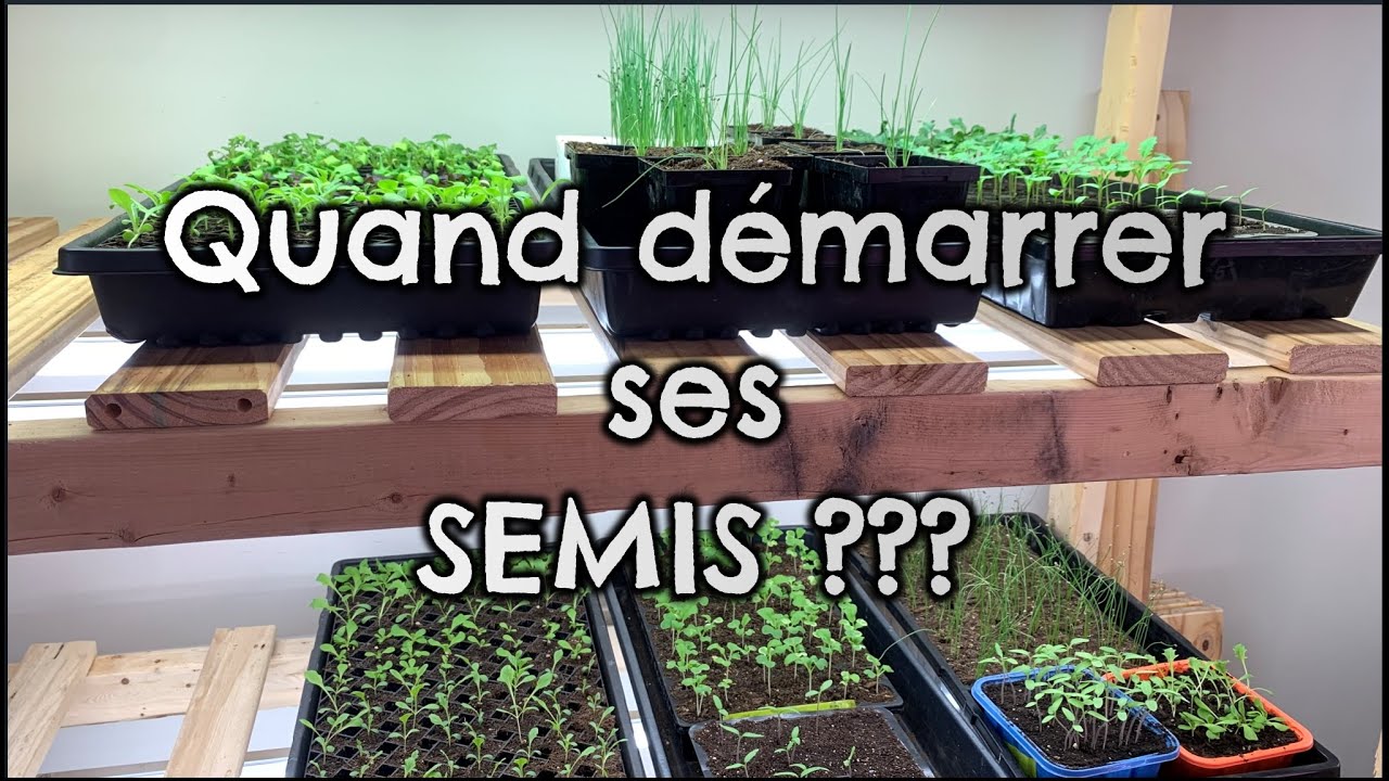 Québec | Guide COMPLET sur les semis intérieurs !! | QUAND et QUELS légumes démarrer | et + !!