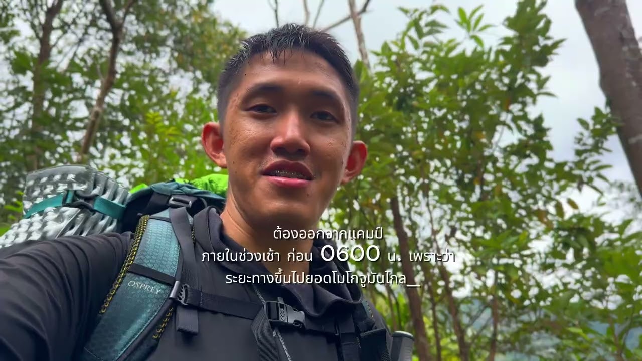 โมโกจู เลือกดูก่อน เส้นทางเดินป่าไประยะไกล 64 กม. 🚶⛰️🌳#อุทยานแห่งชาติแม่วงก์ 