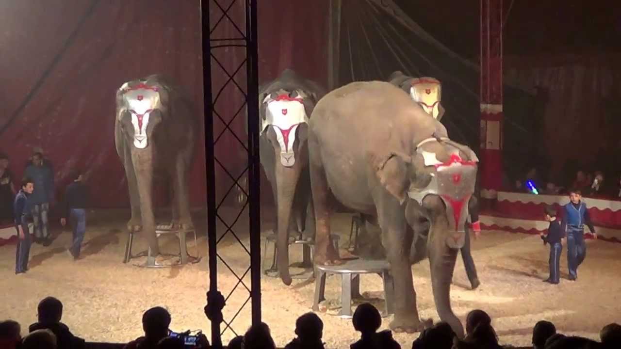 GARTNER FAMILY - ELEPHANT SHOW