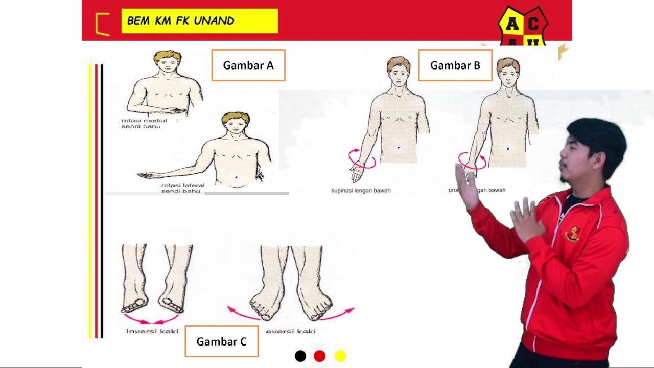 Pengenalan Dasar-Dasar Anatomi - Part 2 | Anatomy Video eps.01