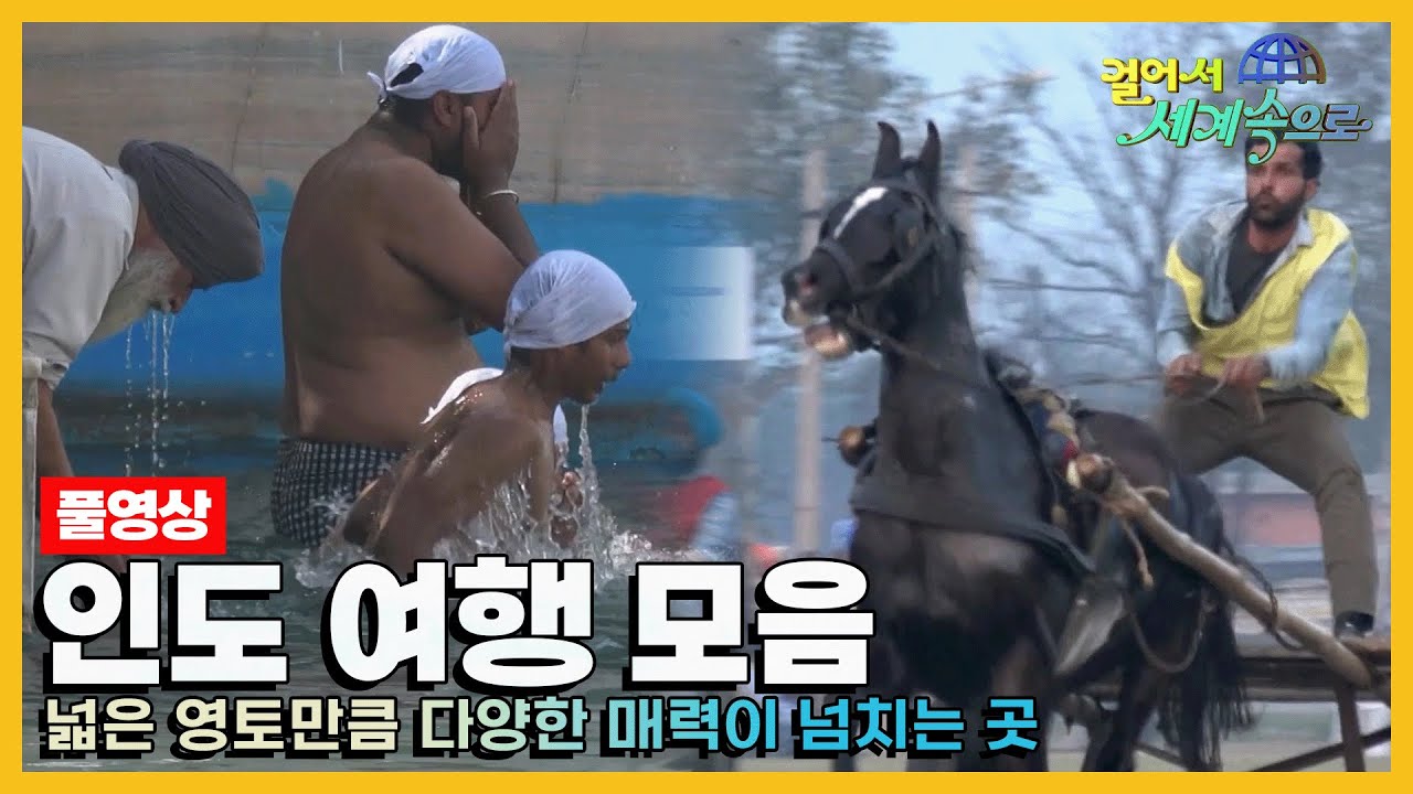 [#걸어서세계속으로] 우리가 생각했던 것보다 더 매력적인 나라 '인도 여행' 모음집 (KBS방송)
