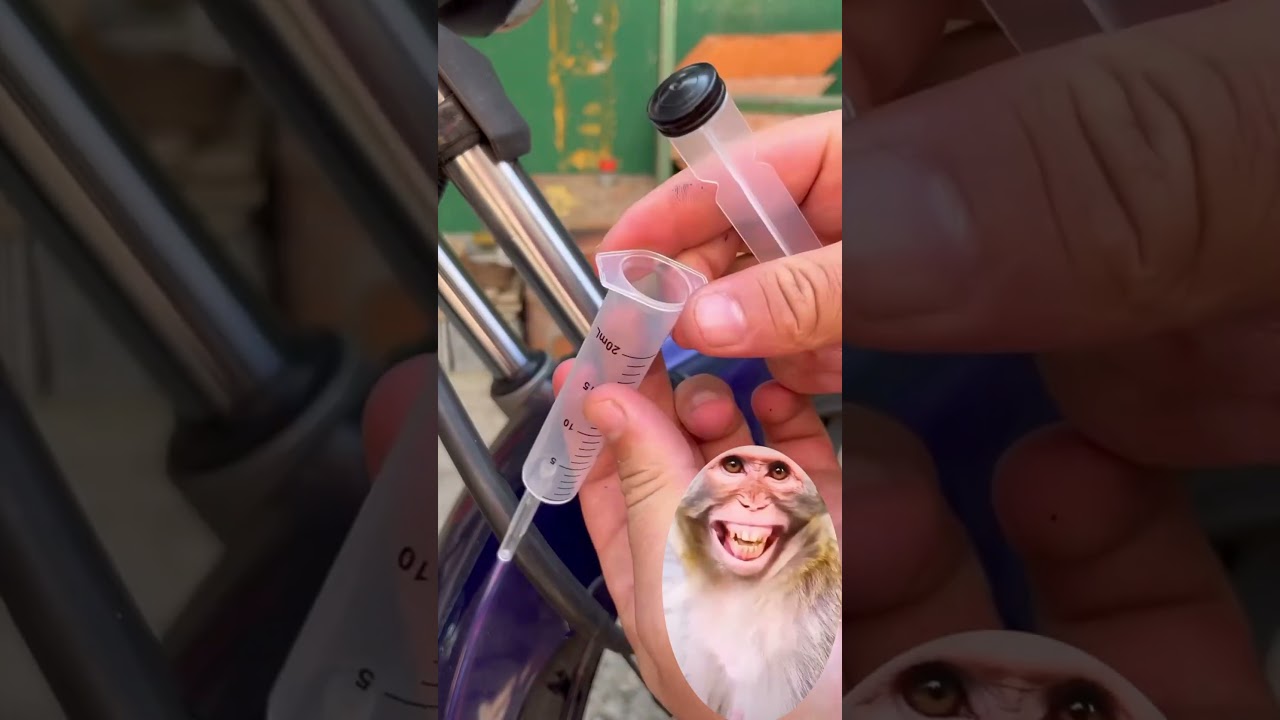 Advanced technique to lubricate the Shock Absorbers of your Motorcycle/The Mechanics don&rsquo;t tell you😎
