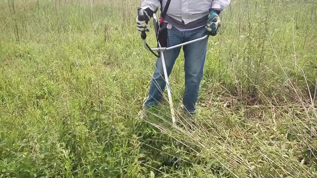 TEST DUR365UZ MAKITA Brushcutter