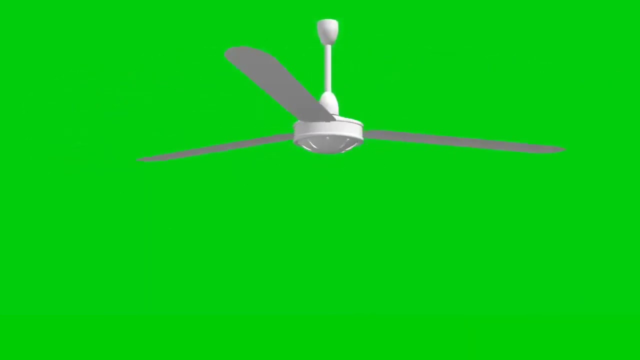 Fan green screen video effect