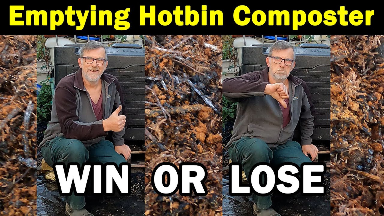 Emptying Hotbin Composter | Is it ready? | Win or Lose | Green Side Up