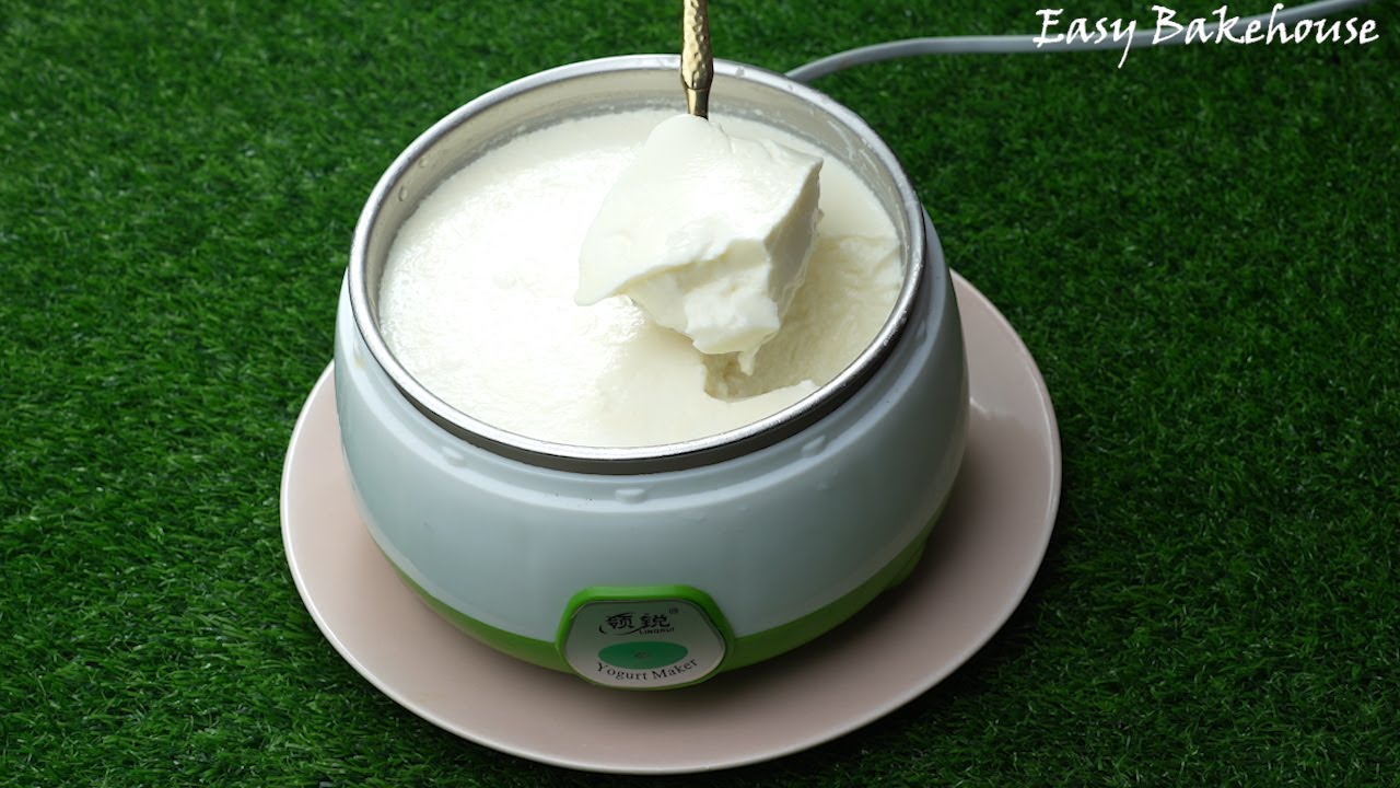 দই মেকারে পারফেক্ট টক দই রেসিপি I এভাবে দই বানালে কখনো দই নষ্ট হবেনা