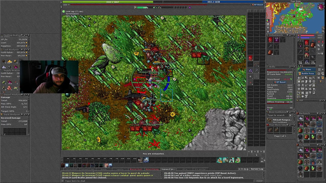 VAMOS A LVL UN RATO EN EL NUEVO SERVIDOR SERENIA RUBINOT CON LA GUILD NEAC =D