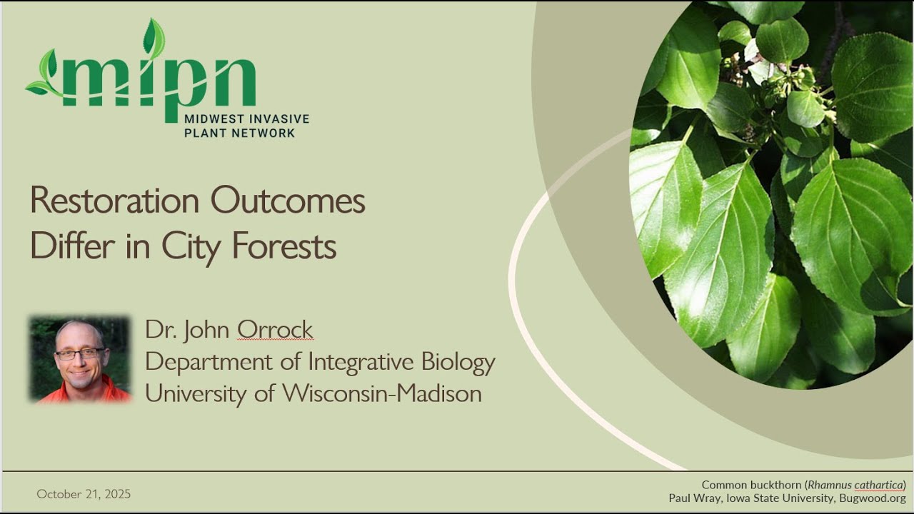 Restoration Outcomes Differ in City Forests