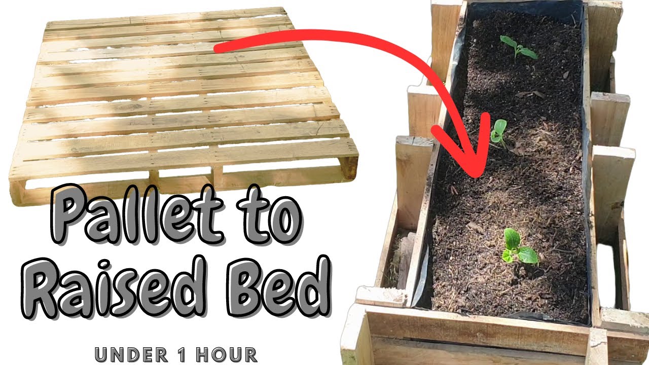 Pallet to Raised Bed in Under 1 Hour