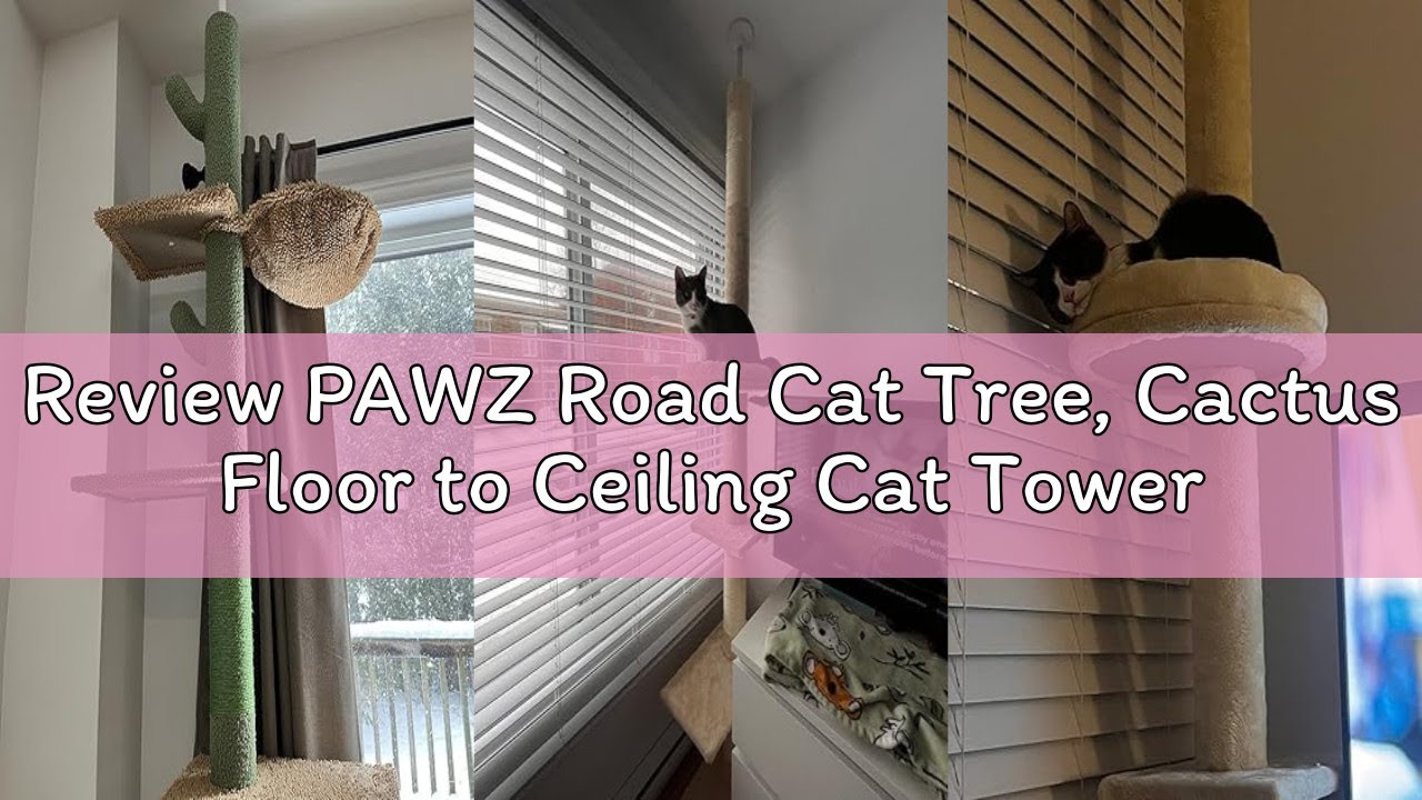 Review PAWZ Road Cat Tree, Cactus Floor to Ceiling Cat Tower with Adjustable Height 95-108 Inches, 5