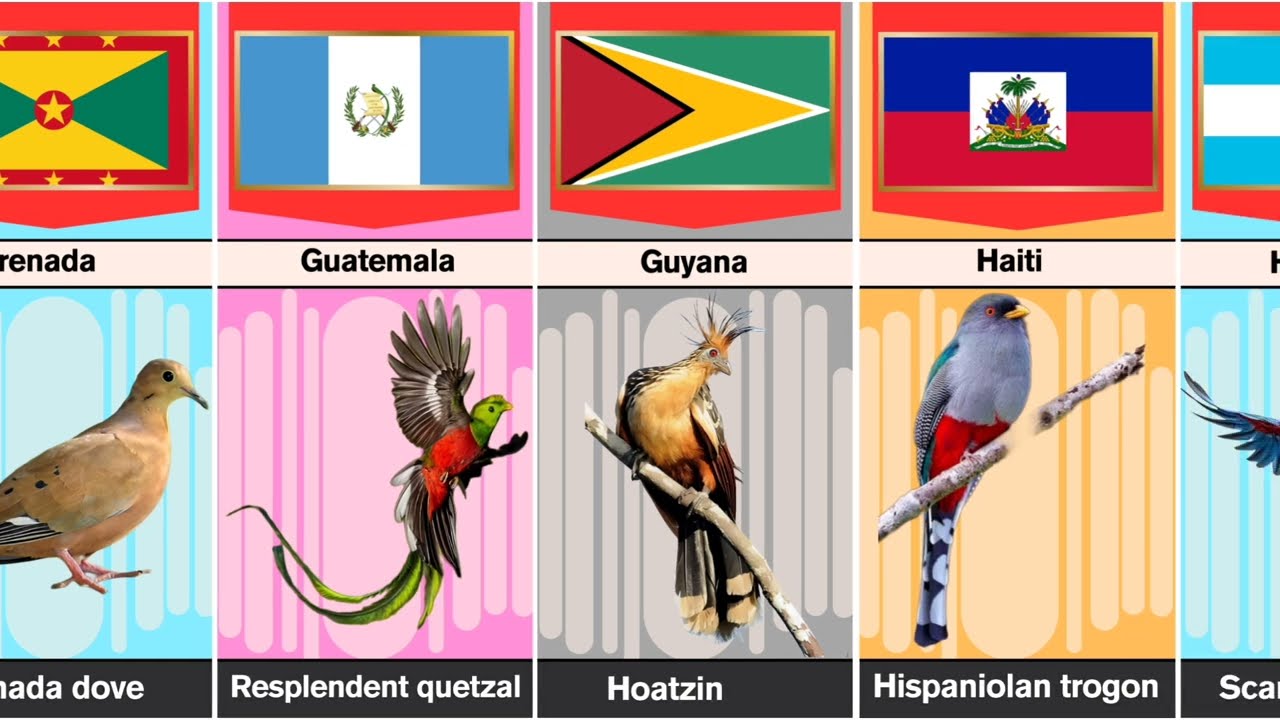 National bird of different countries 