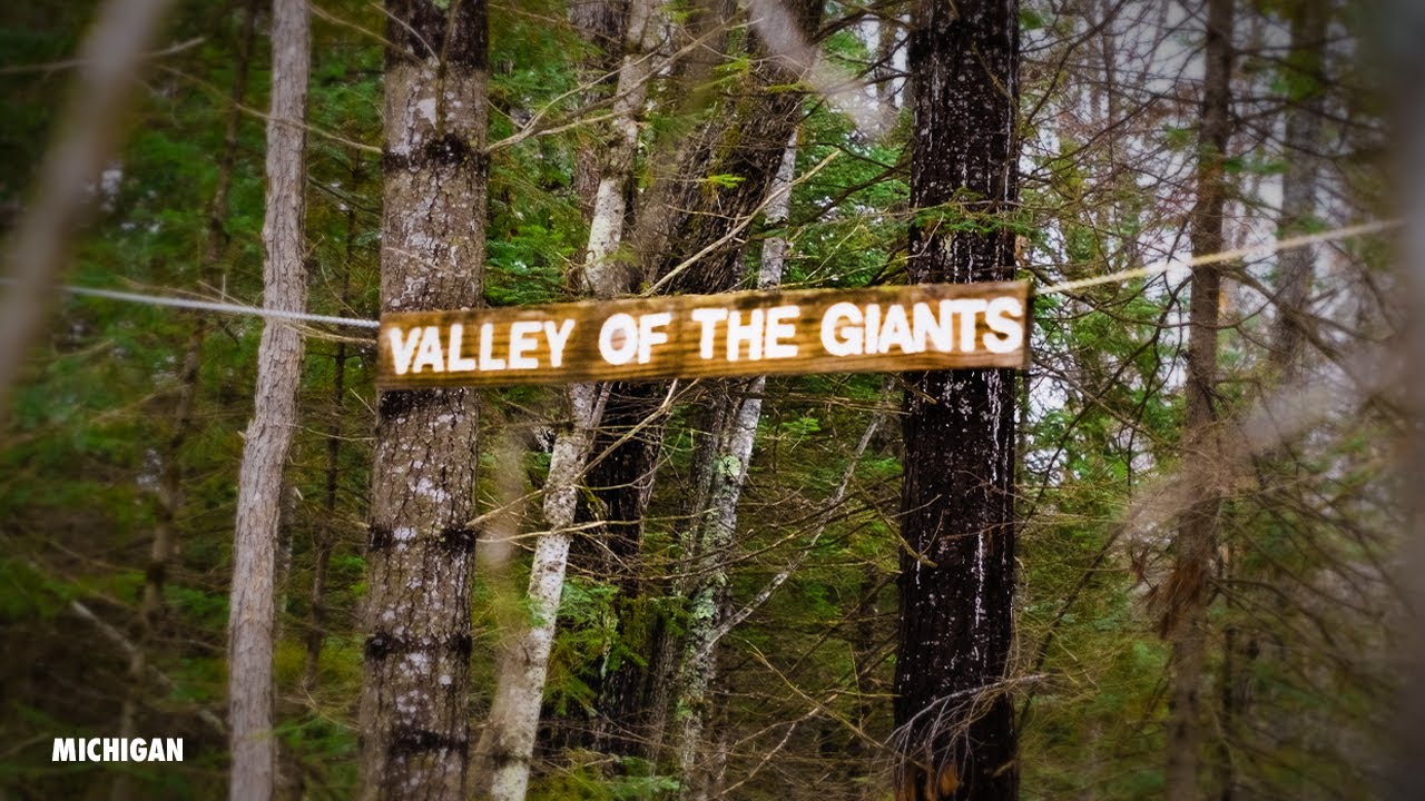 Exploring Michigan's MAJESTIC Valley of the Giants