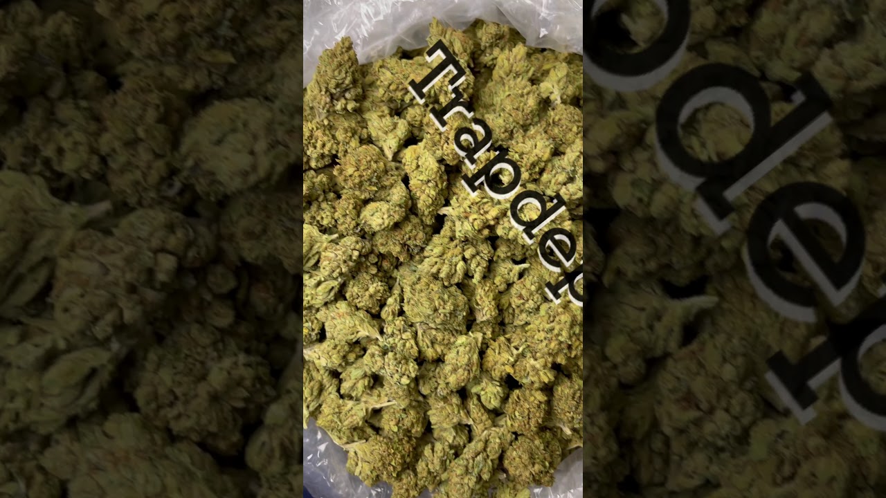 Paris OG 1850