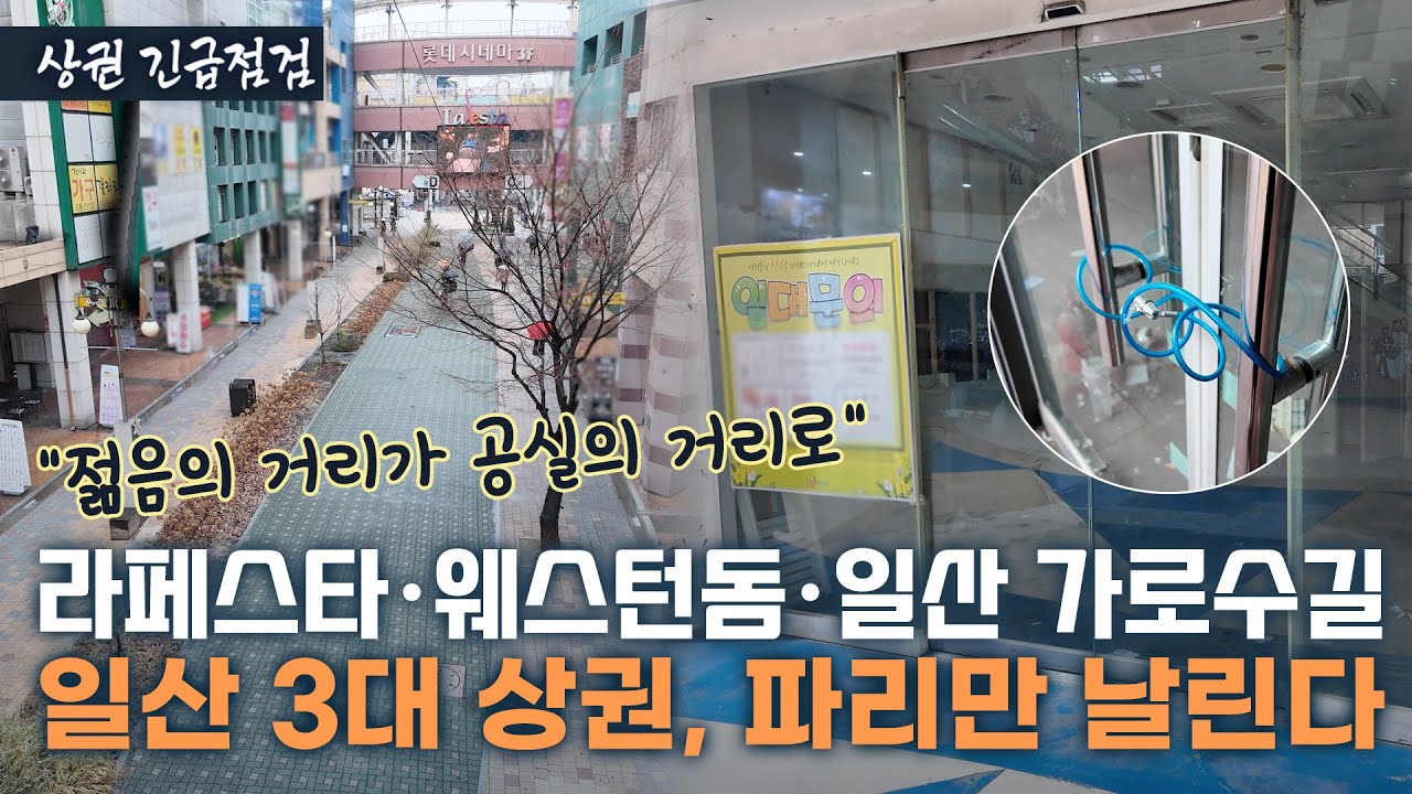 “이케아에 밀리고, 스타필드에 뒤집히고” 일산 3대 상권, 일산시민도 외면하는 근황