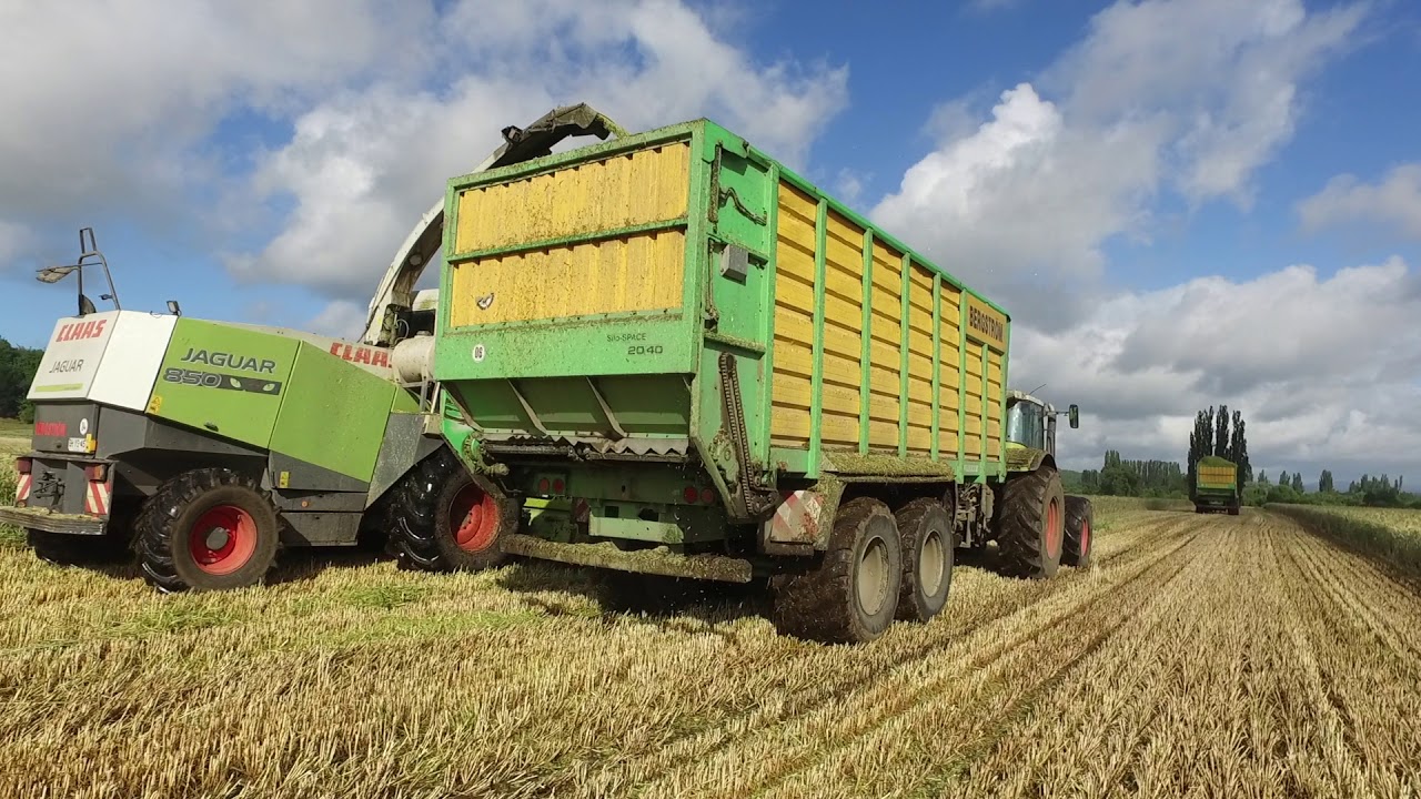 Servicios Bergström - Silo Tritricale