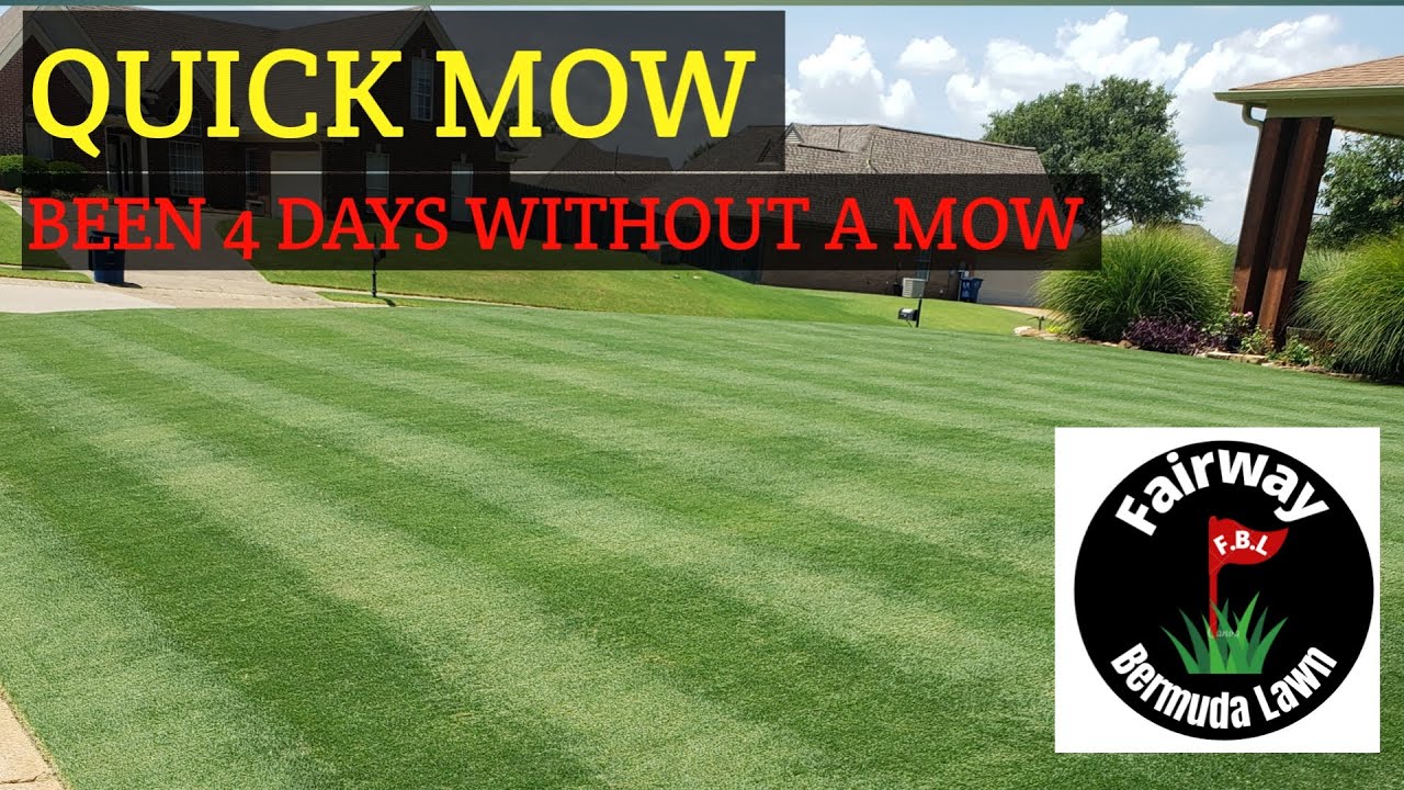 Just Mowed !!!