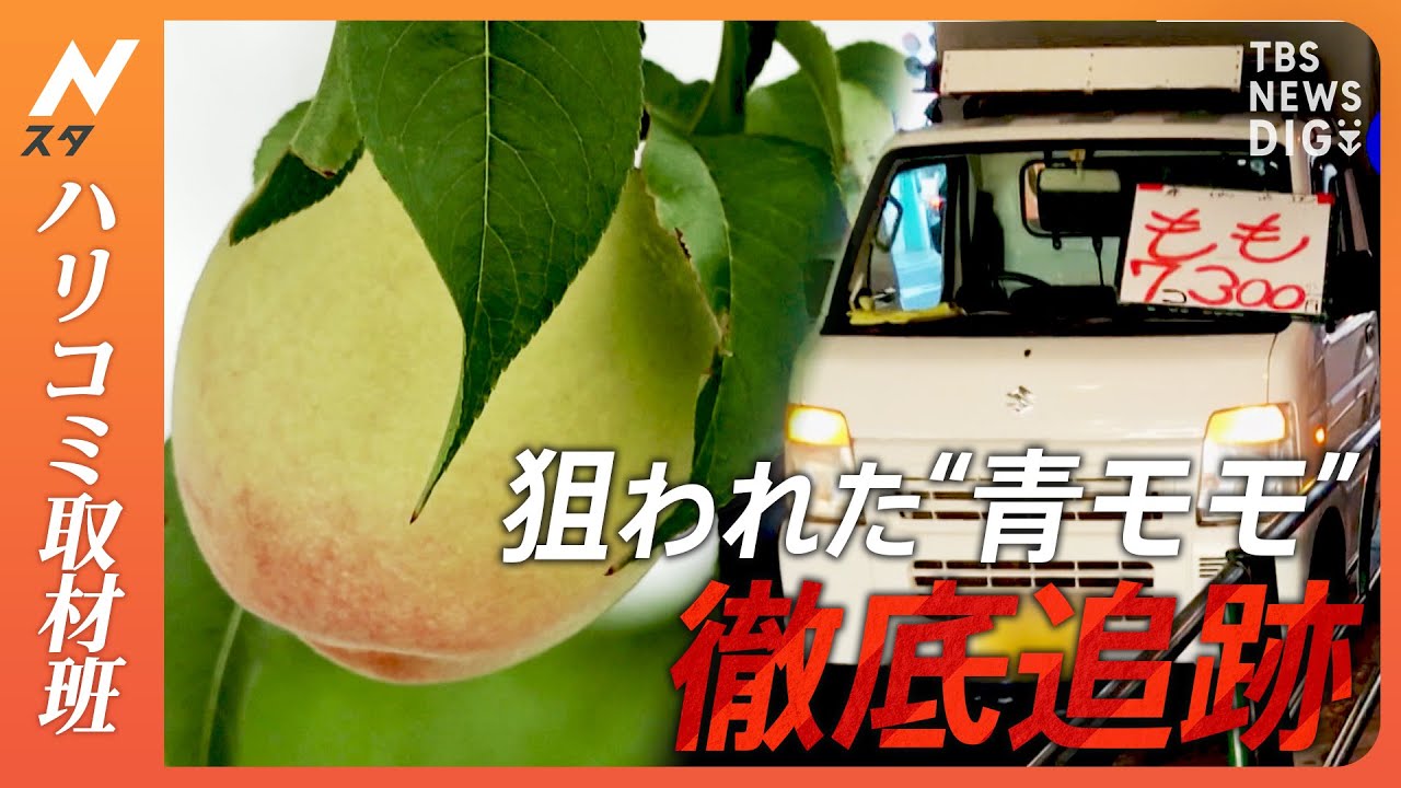 【ハリコミ】盗まれた収穫前の“青いモモ”　「路上販売団」「ベトナム食材店」「フリマサイト」など徹底追跡　“大根みたいな青いモモ”の不可解な流通経路「X社」とは｜TBS NEWS DIG