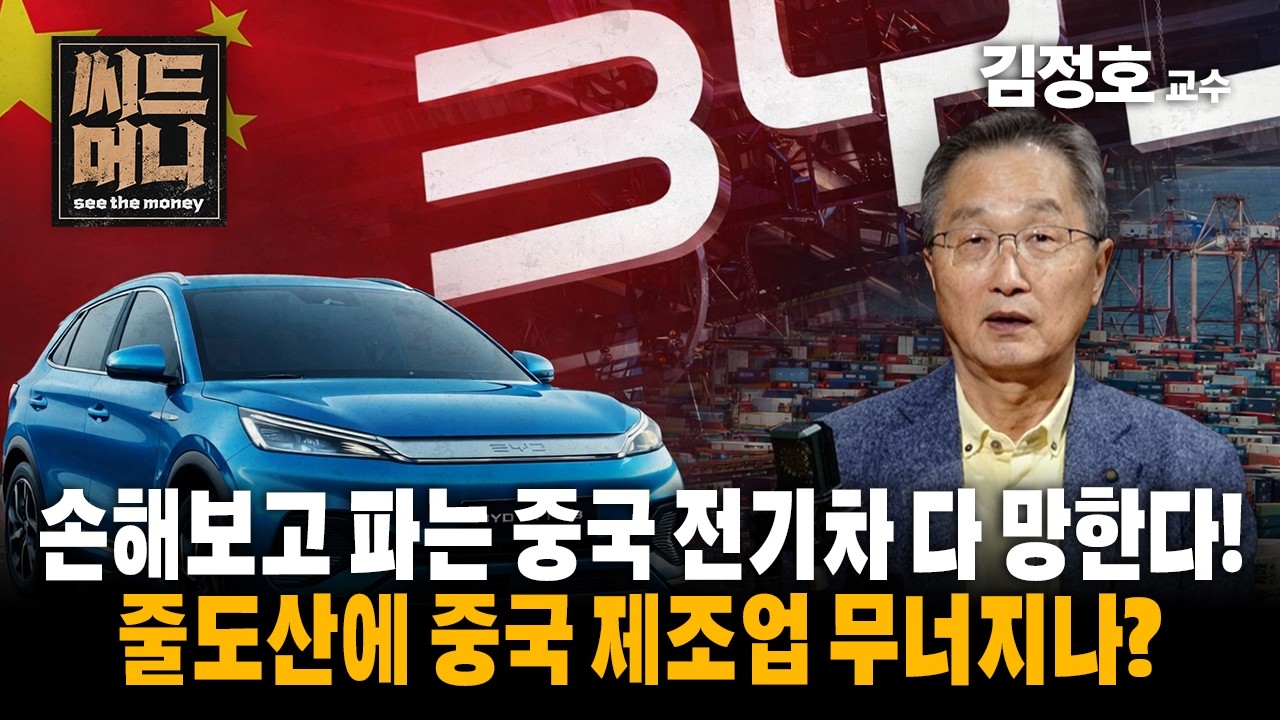 손해보고 파는 중국 전기차 다 망한다!  줄도산에 제조업 무너지나? (서강대 경제대학원 김정호 교수)