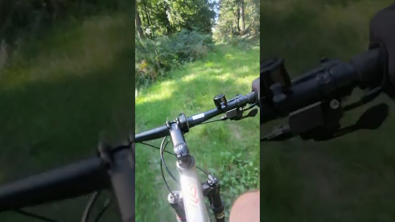 sort vtt en forêt (nakamura summit 920 Ltd) 29 pouce