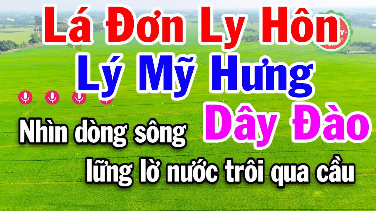 Karaoke Lá Đơn Ly Hôn - Lý Mỹ Hưng Dây Đào