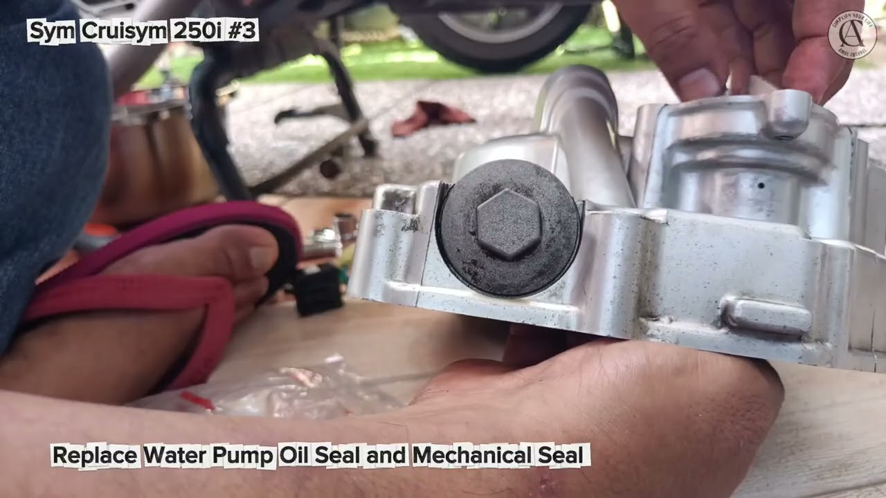 Buat Sdiri DIY#106 - Sym Cruisym 250i Repair Water Pump  and Seals.