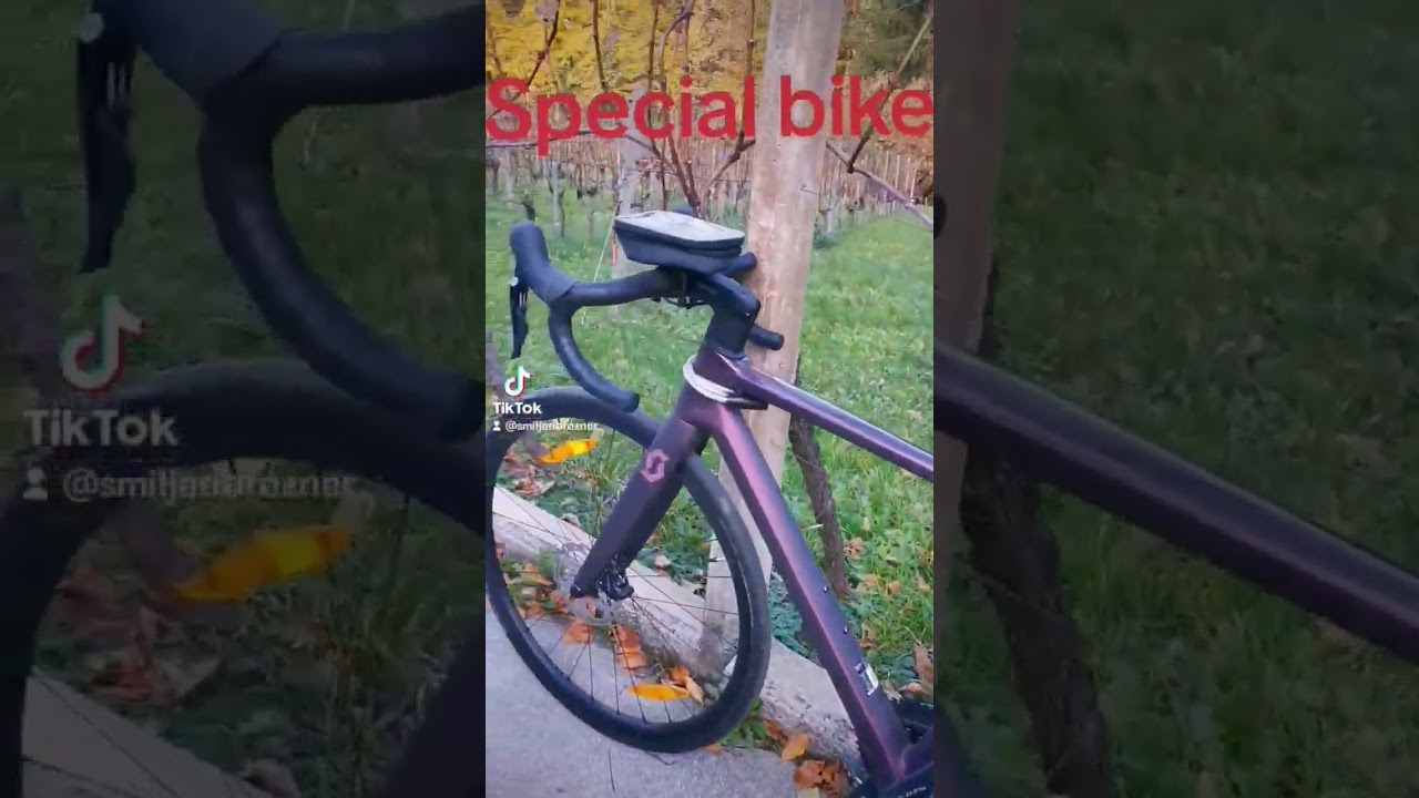 specialka