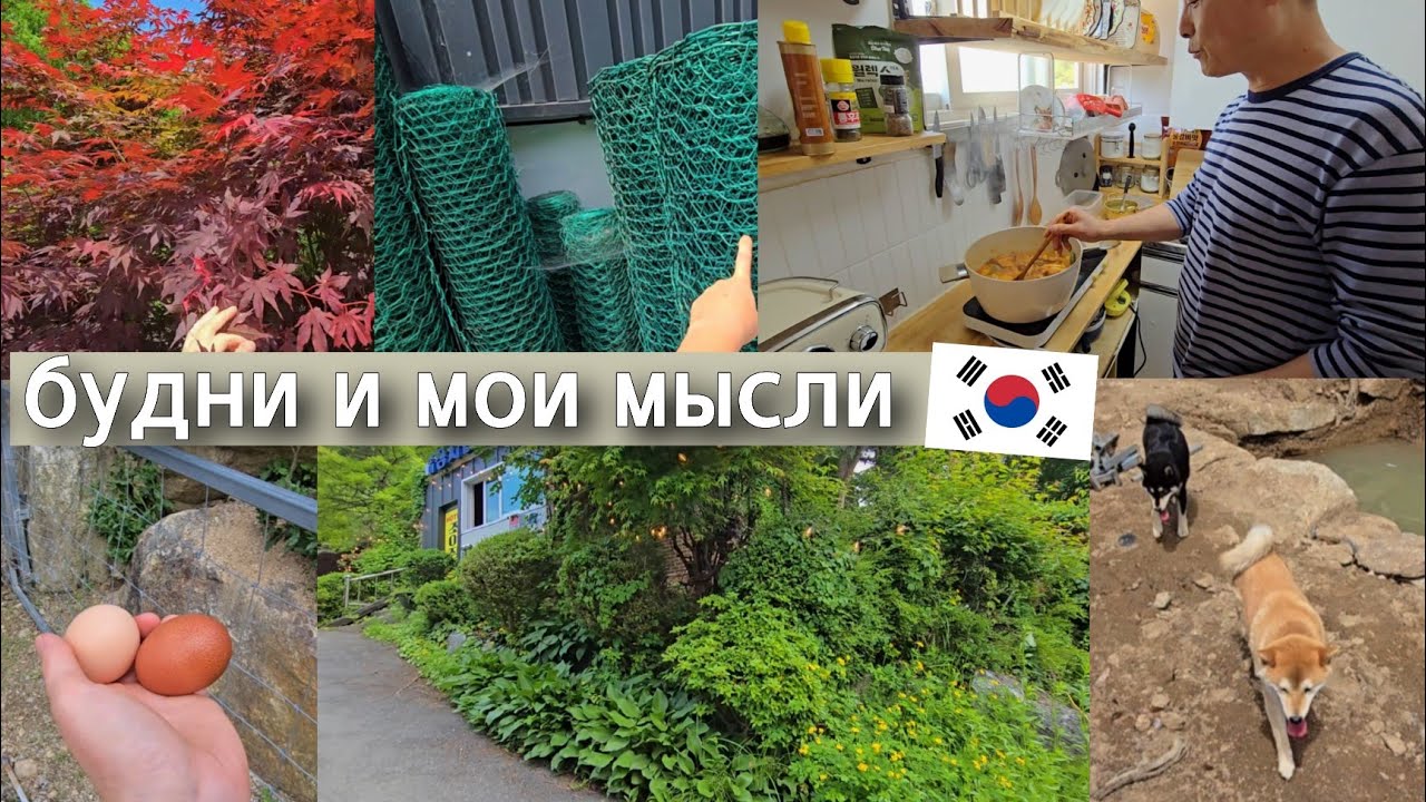 Наши корейские будни в горах / KOREA VLOG