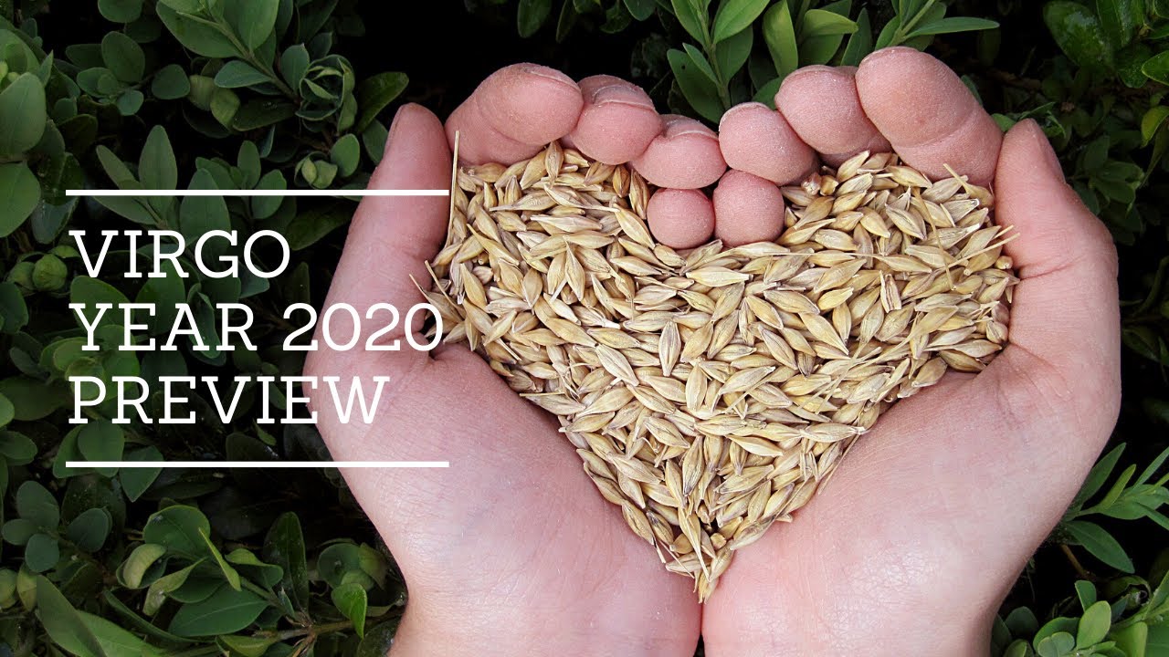 Your New Life is Here ♍ VIRGO  Yearly Preview 2020 Part DEUX