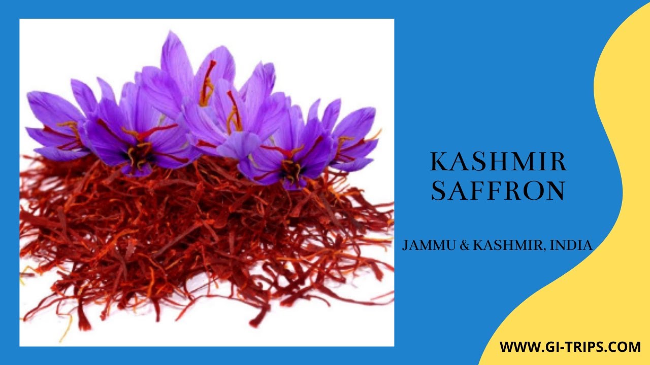 Kashmir Saffron (Kesar) | GI-TRIPS | World's most Expensive Spice | GI-Tagged