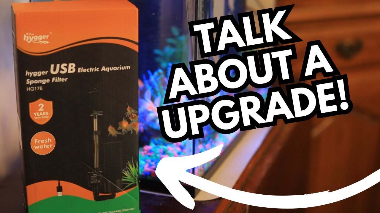 Come see how this Hygger USB Electric Aquarium Sponge Filter Did!