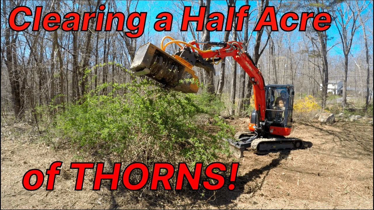 Clearing a Half Acre of THORNS with Forestry Mulching!