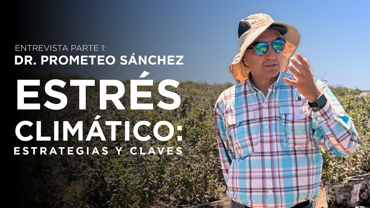 Lo que la sequía le está haciendo a tus cultivos | Entrevista a Dr. Prometeo Sánchez pt.1