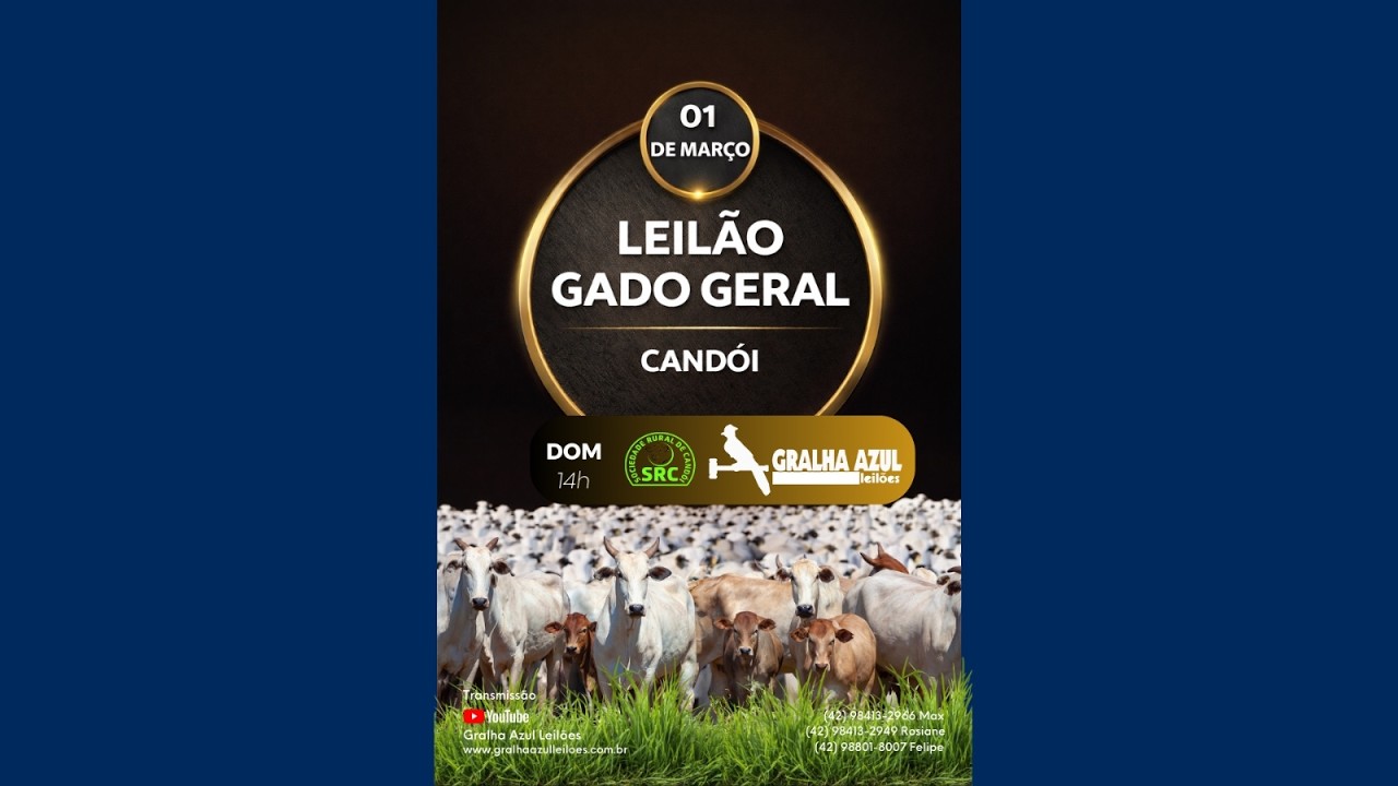 LEILÃO AO VIVO - CANDÓI - 01/03/2026 - 15:00 H