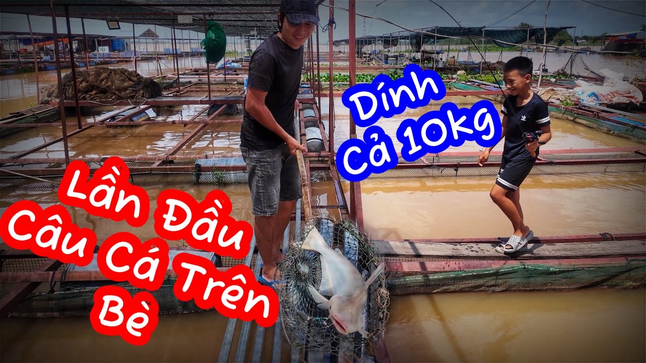Lần Đầu Câu Cá Trên Bè Dính Cá Thấy Ham | Cá nướng muối ớt | Sơn Ngố Hiếu ế