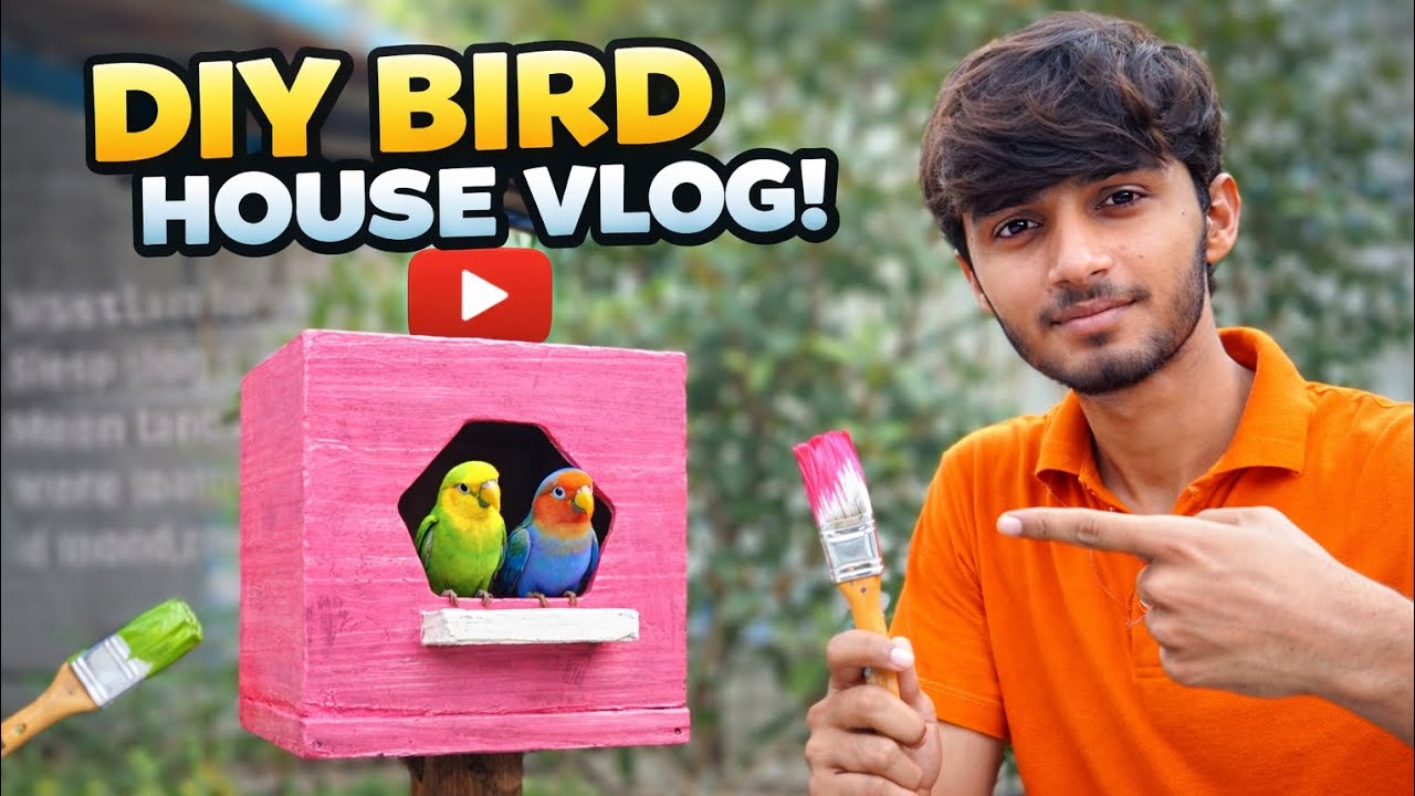 آج میں نے اپنے کوکیٹیل برڈز کے لیے نیا باکس لگایا | Cockatiel Birds Nest Box #birds #cage 