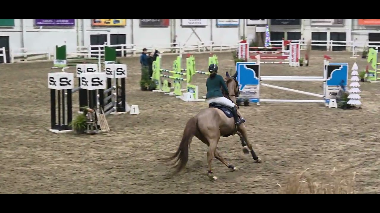 Grandina PP Z (George Z x Quidam De Revel, 2019) clear round queenscup