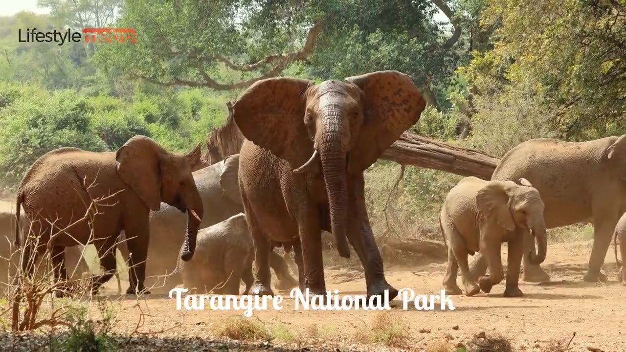 40 Best Places to Visit in Tanzania - Travel Video and Guide