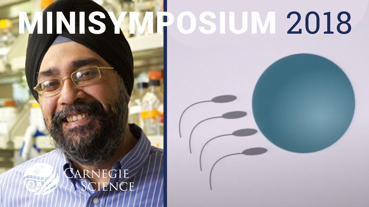 Genetic Conflicts: Meiosis, Speciation (Harmit Malik) // Minisymposium 2018