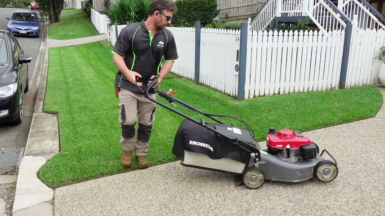 Do you like CRISP LAWN EDGES and nicely MOWED BUFFALO LAWN?