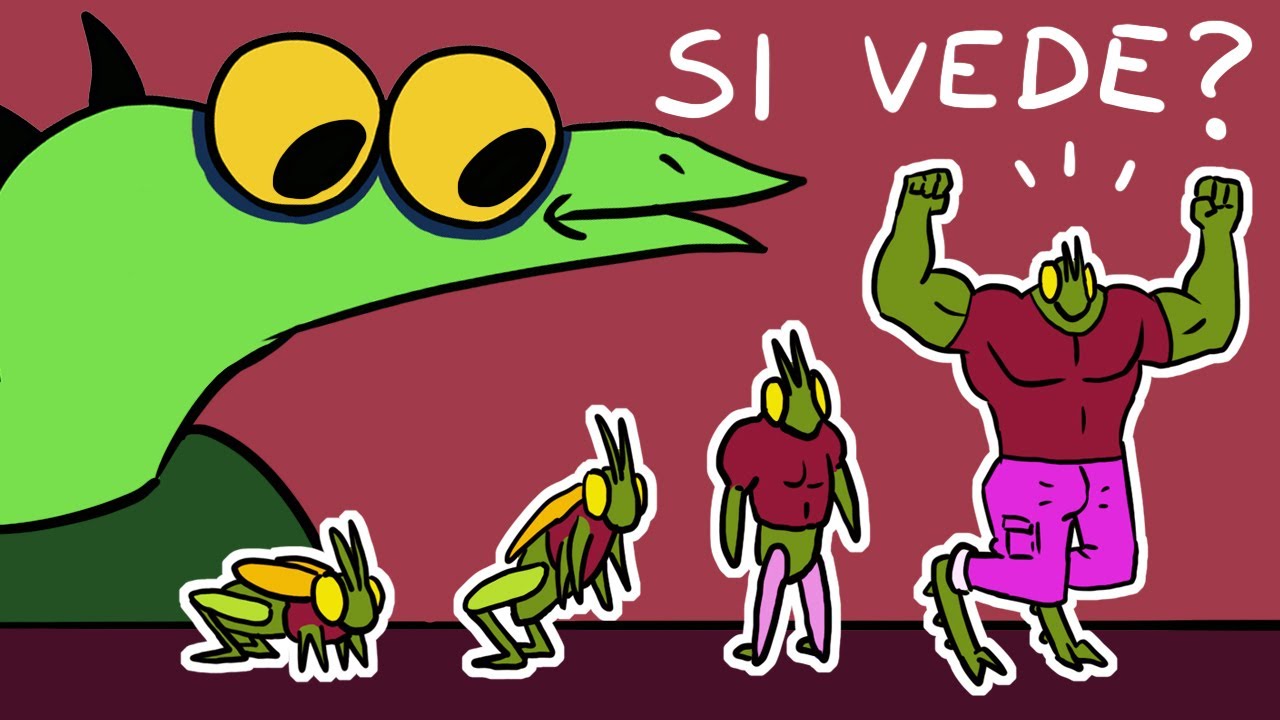 L'evoluzione SI PU&Ograve; VEDERE?