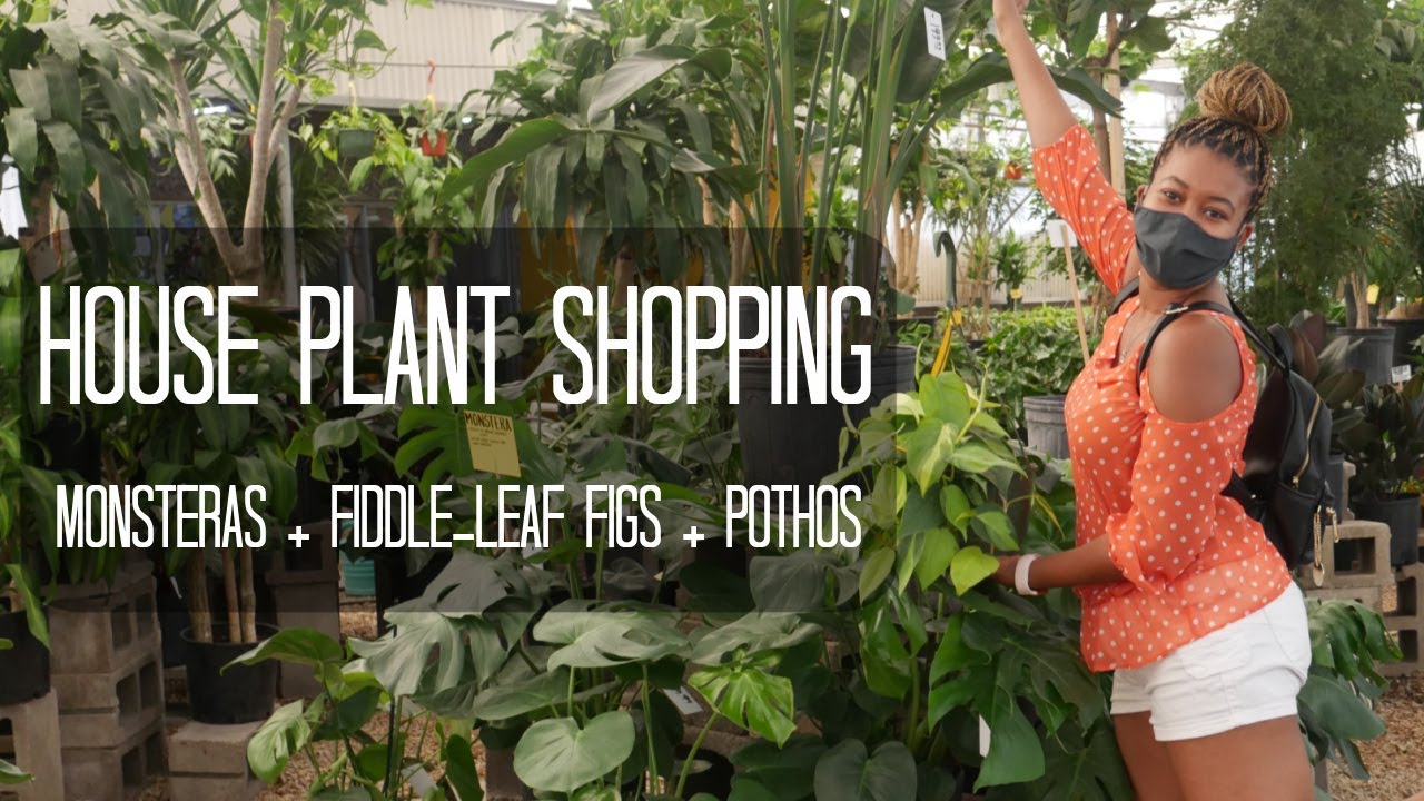 i have no self control 🌱🌿🌵// plant shopping vlog