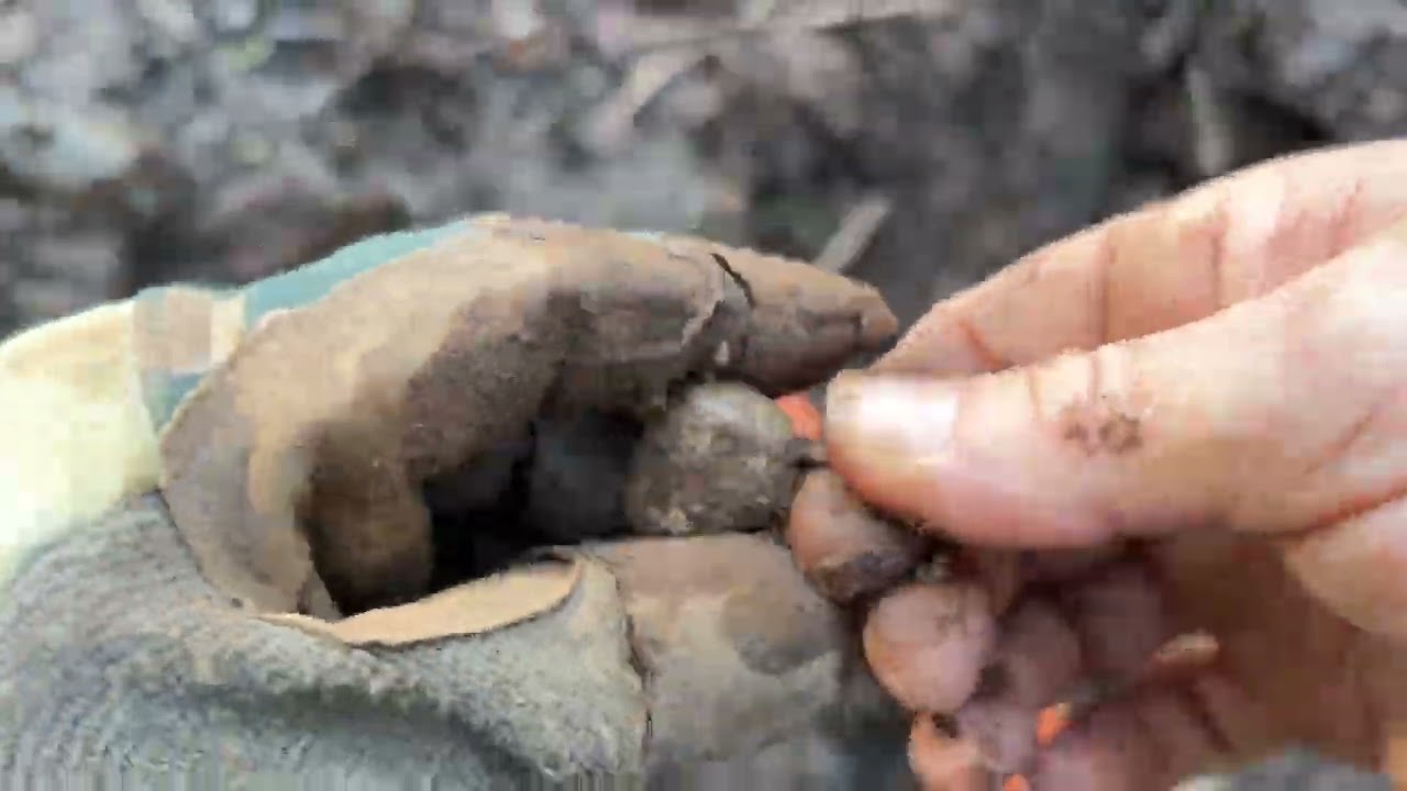 Lucky Duck Digger #126 Drained Lake hunt 4