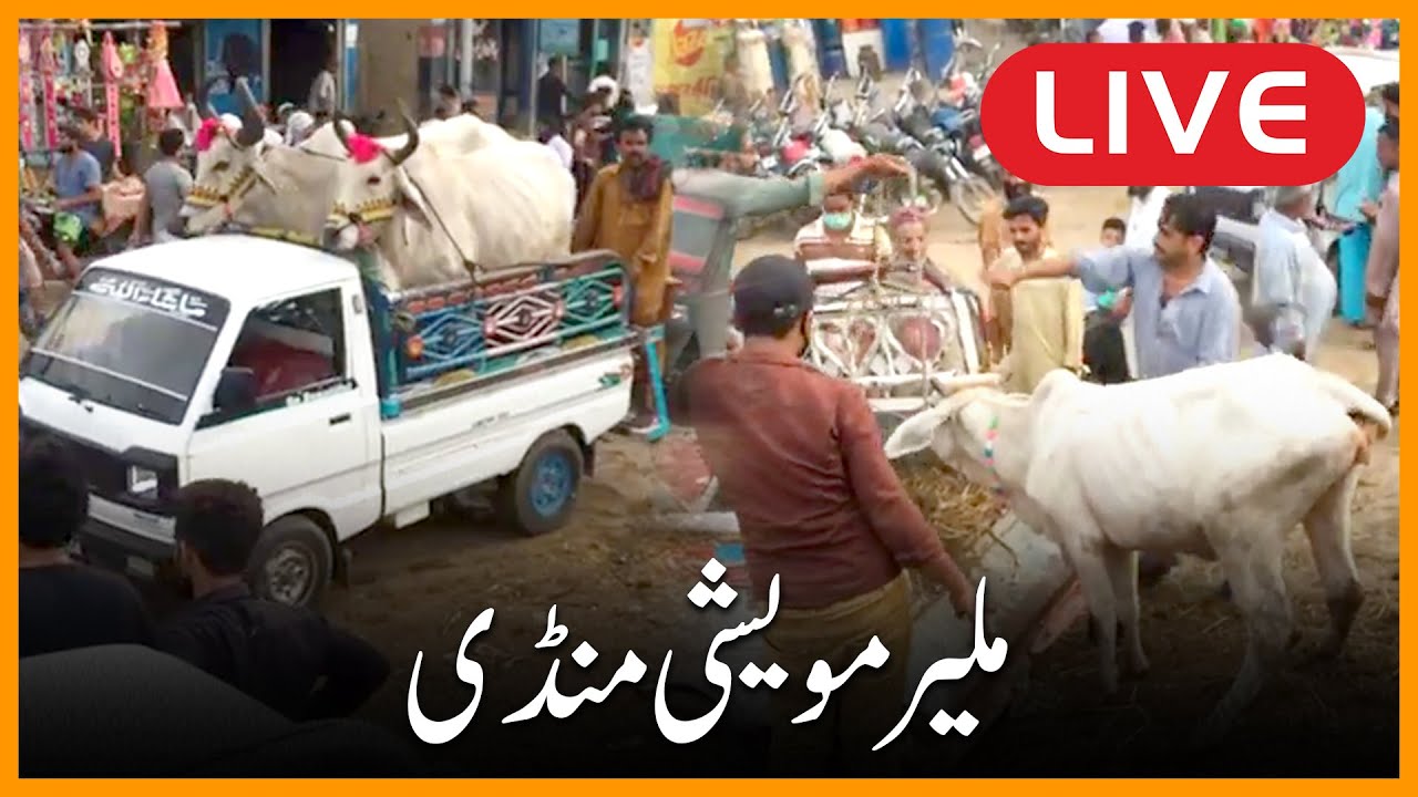 Live: Malir Mandi karachi