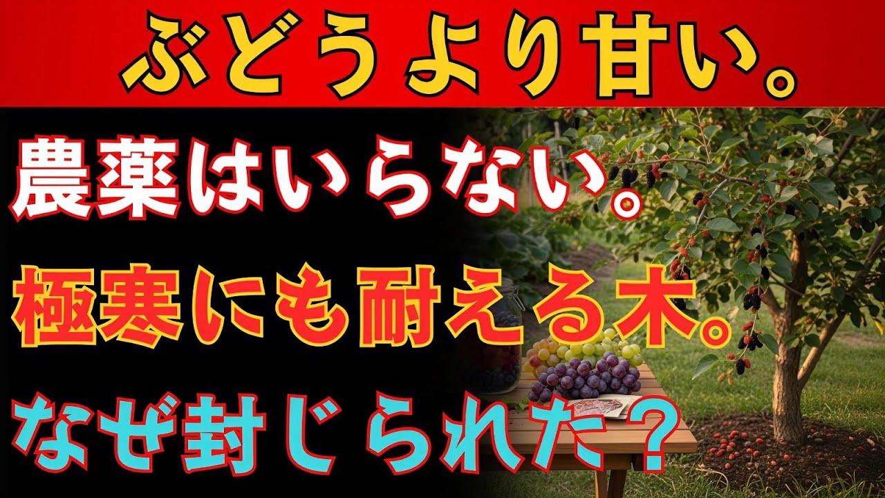 ぶどうより甘い。農薬いらず。極寒にも耐える木が、なぜ100年以上も消されたのか？