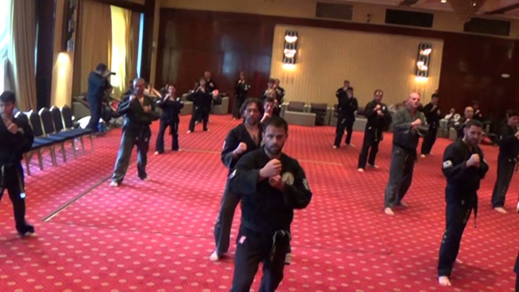hwal moo do black belt test    22 3 2014